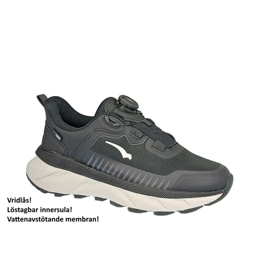 Bagheera